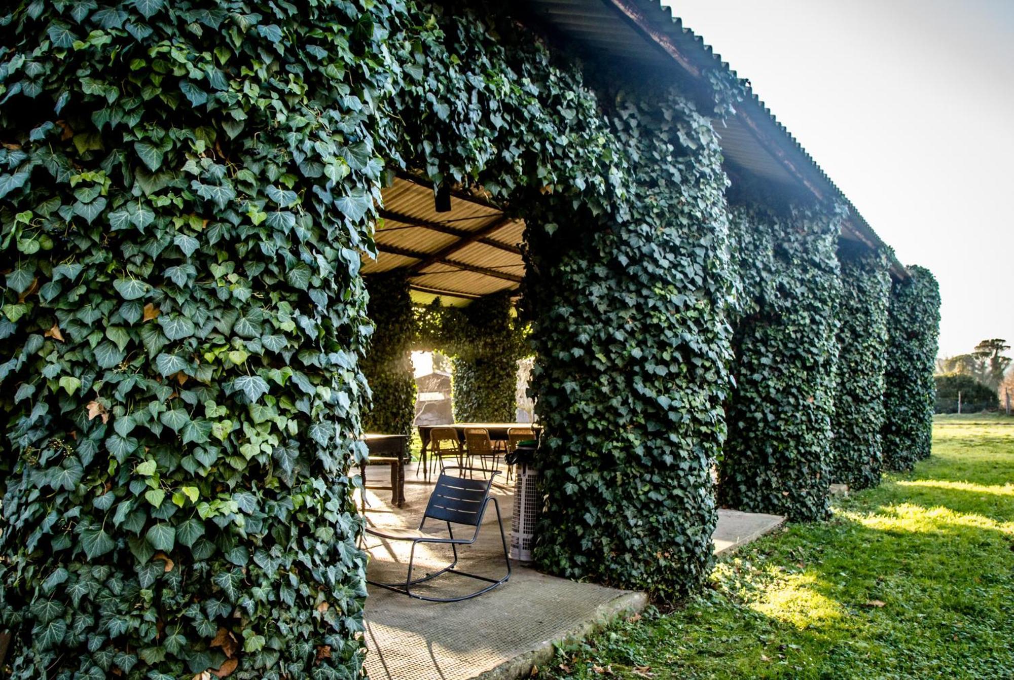 Tenuta Di Paganico - I Roggeti Apartment Paganico (Grosseto)