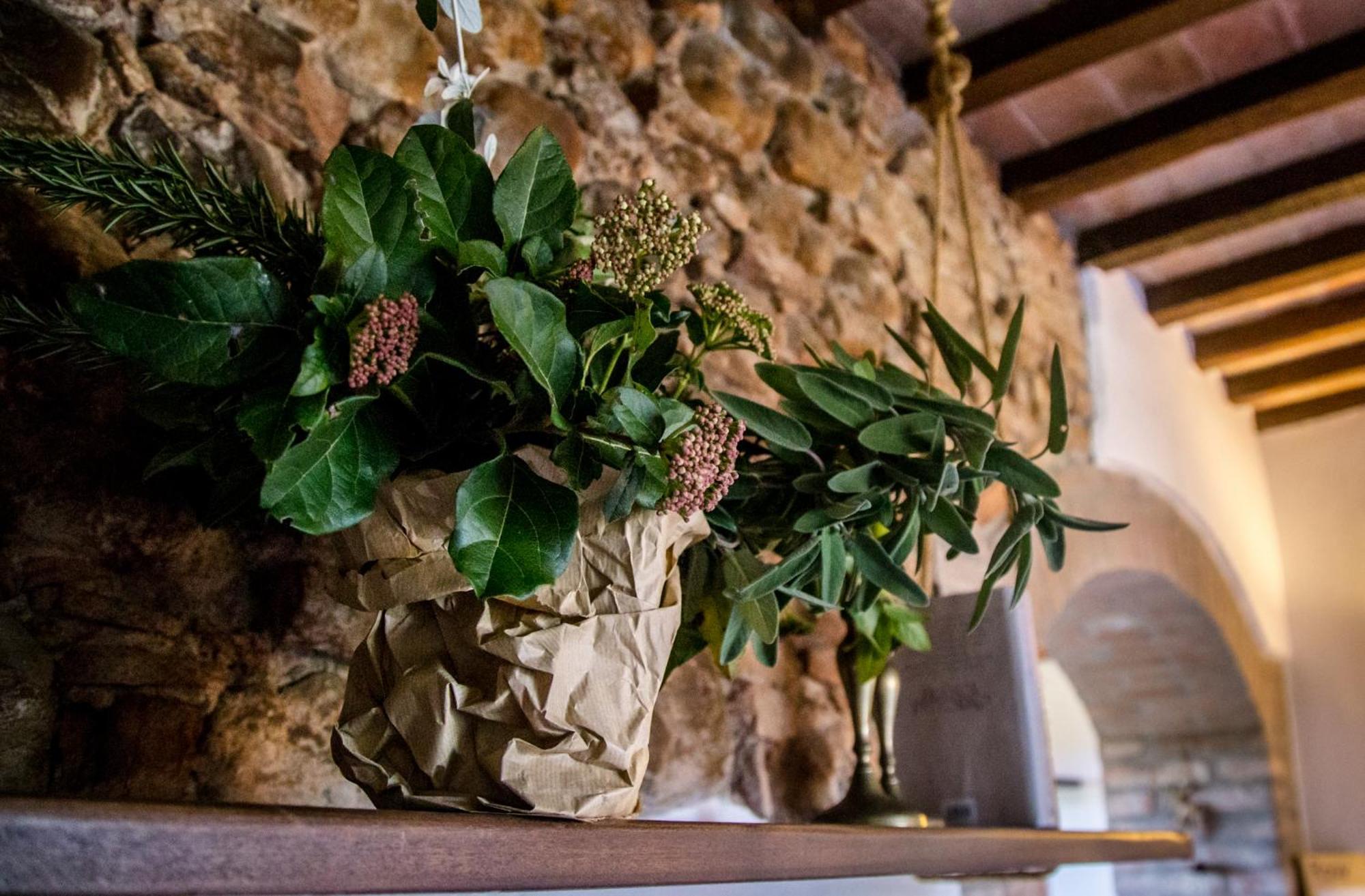 Apartment Tenuta Di Paganico - I Roggeti Paganico (Grosseto)