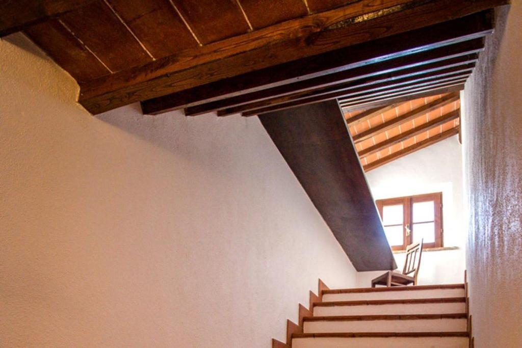 Apartment Tenuta Di Paganico - I Roggeti